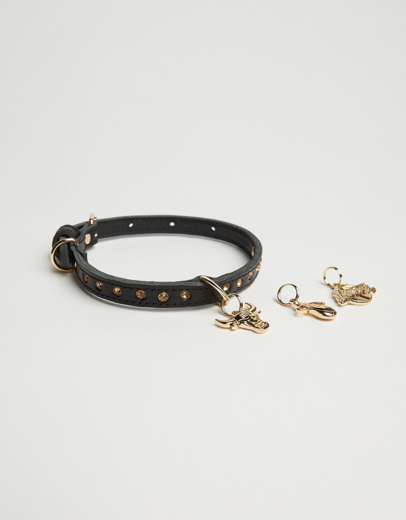 Collare Per Cani Con Charm Nba + Donna S - 2kg Nero