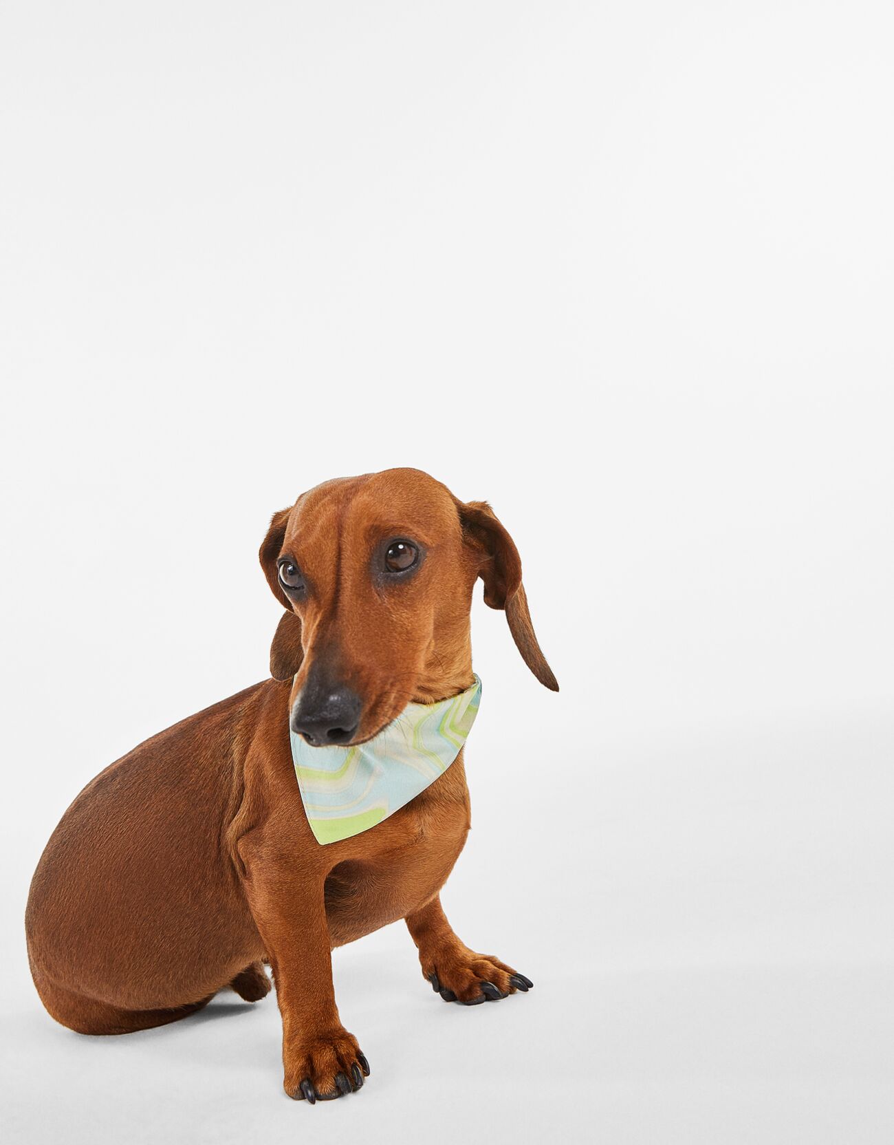 Bershka Köpek fuları 6 Bershka Köpek fuları 7