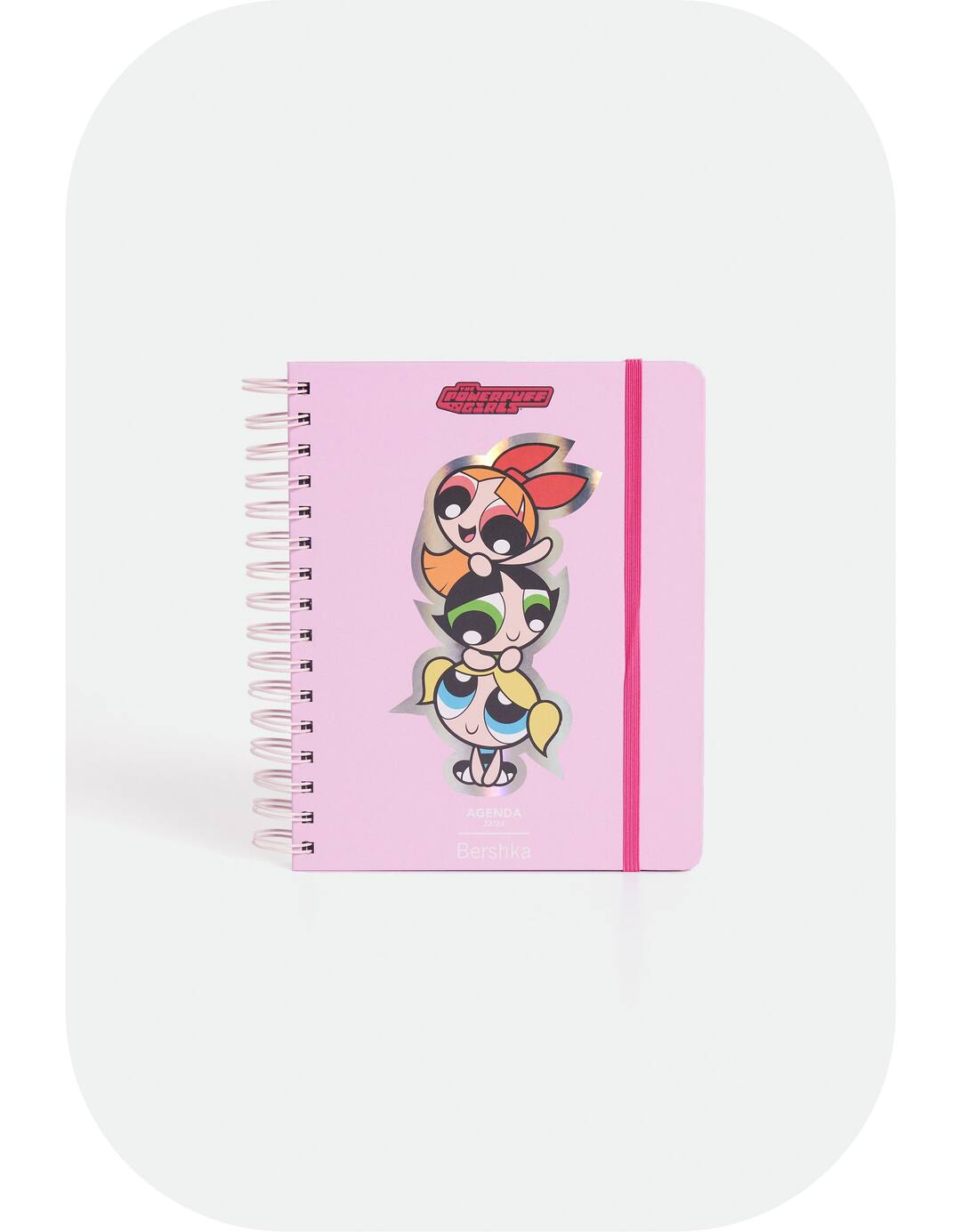 Powerpuff Girls diary 2023/24