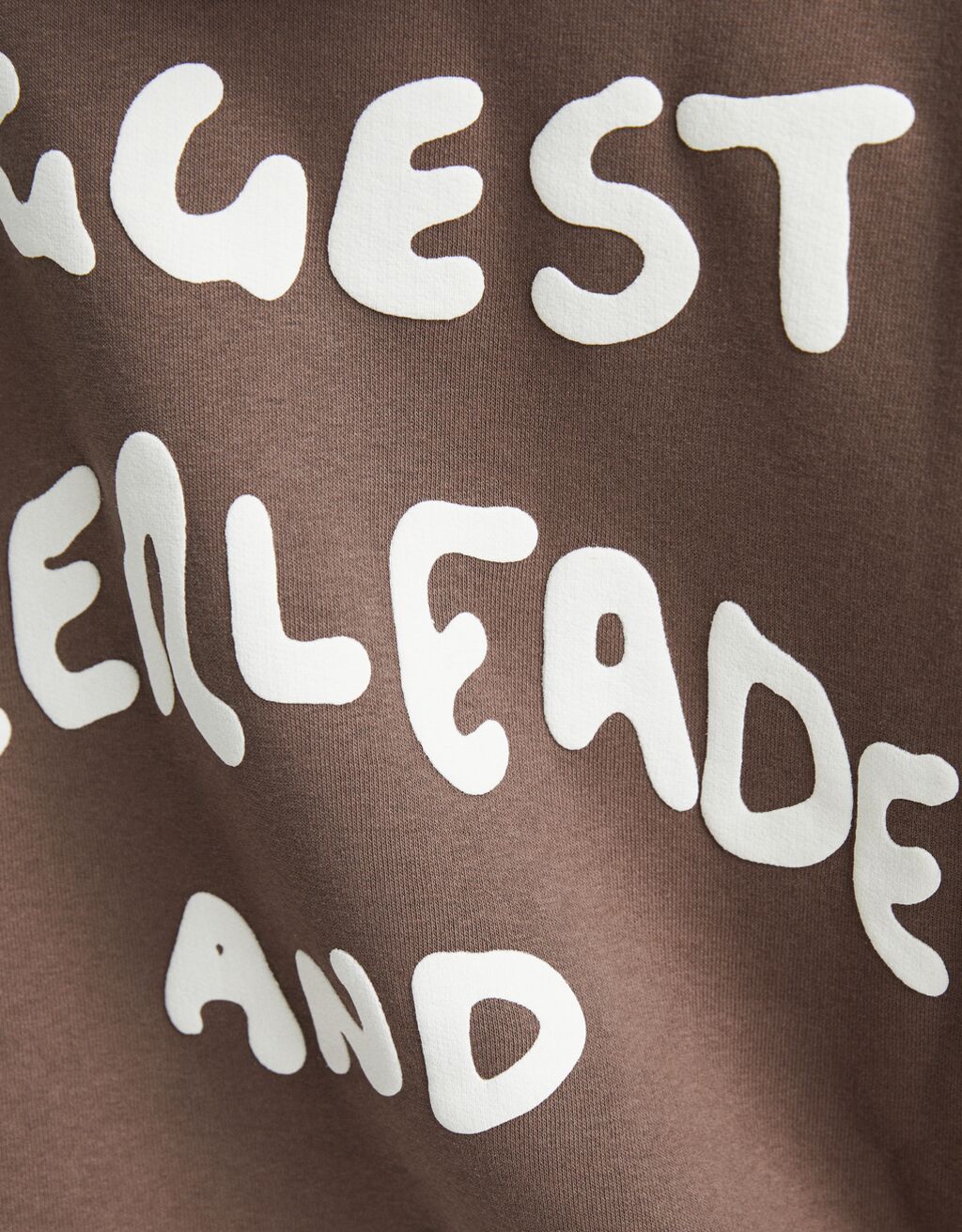 Sweat capuche imprimé-Marron-6