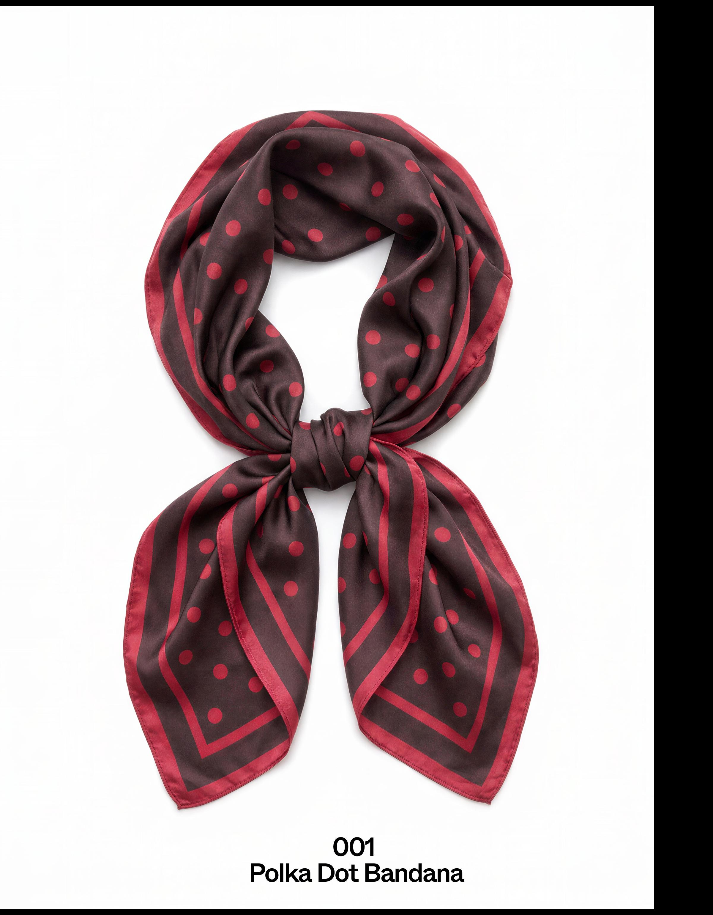Polka dot scarf — Brown