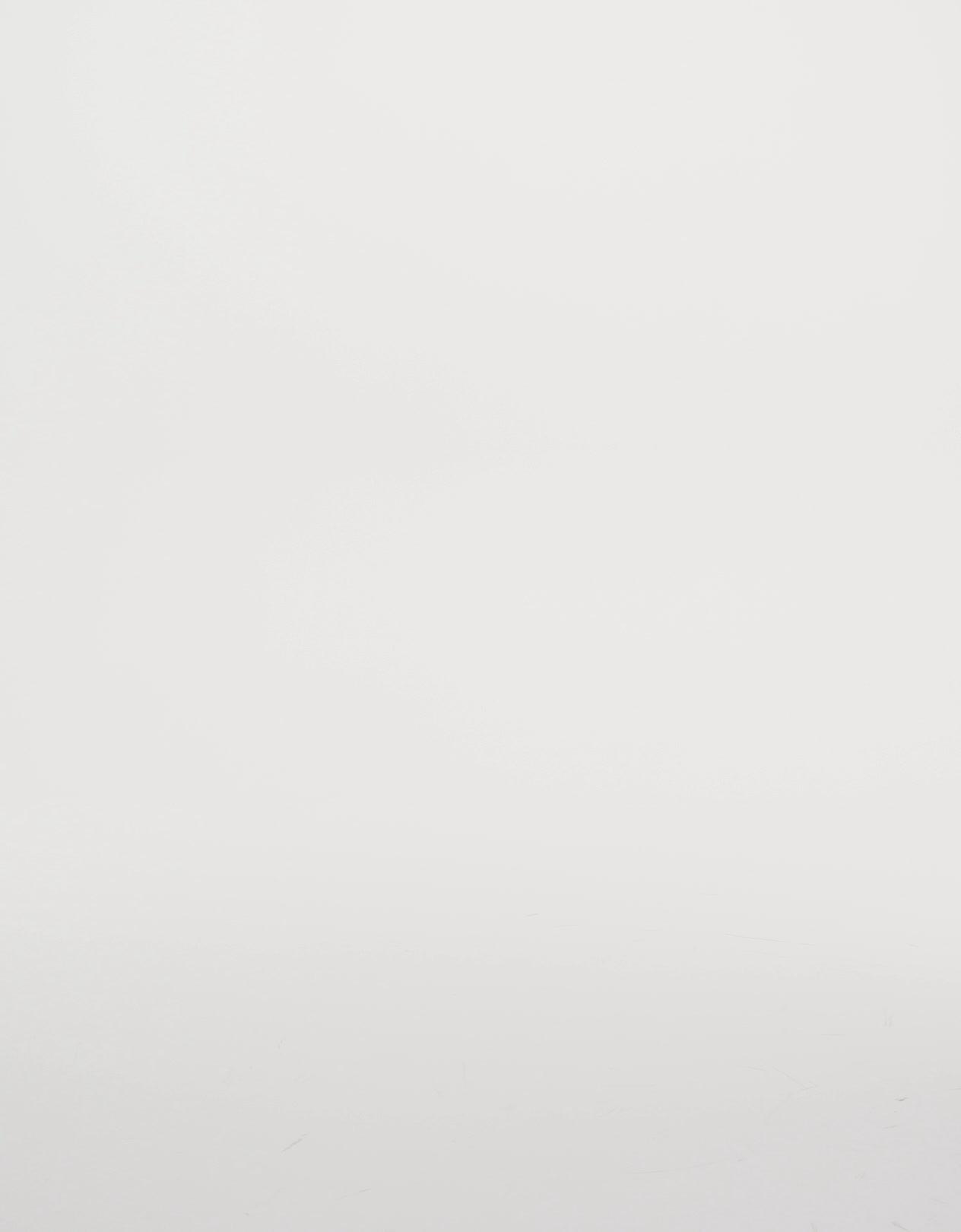 Düşük bel, önü düğmeli, geniş paça barrel jean - Görsel 45