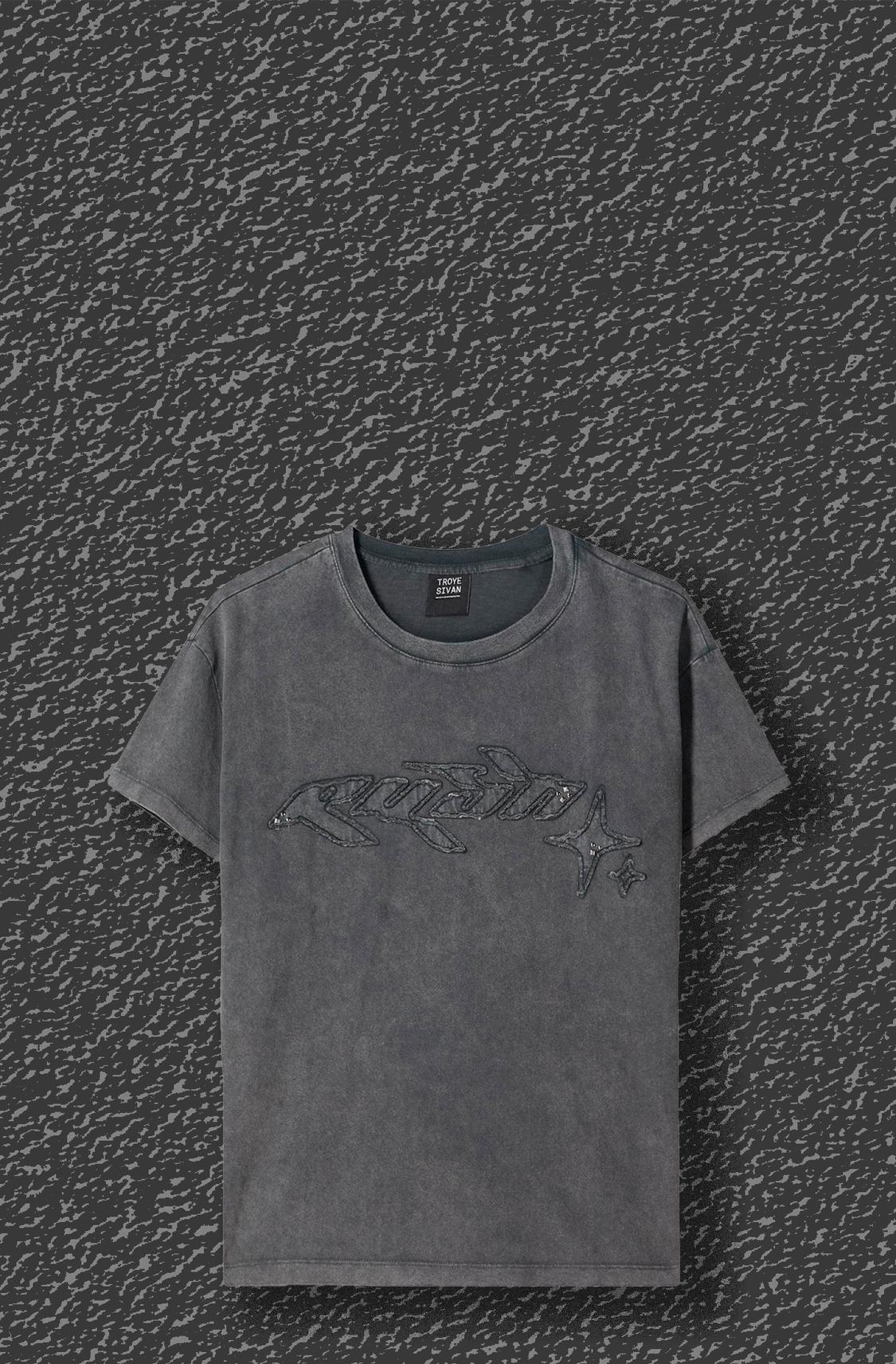 Troye Sivan short sleeve T-shirt