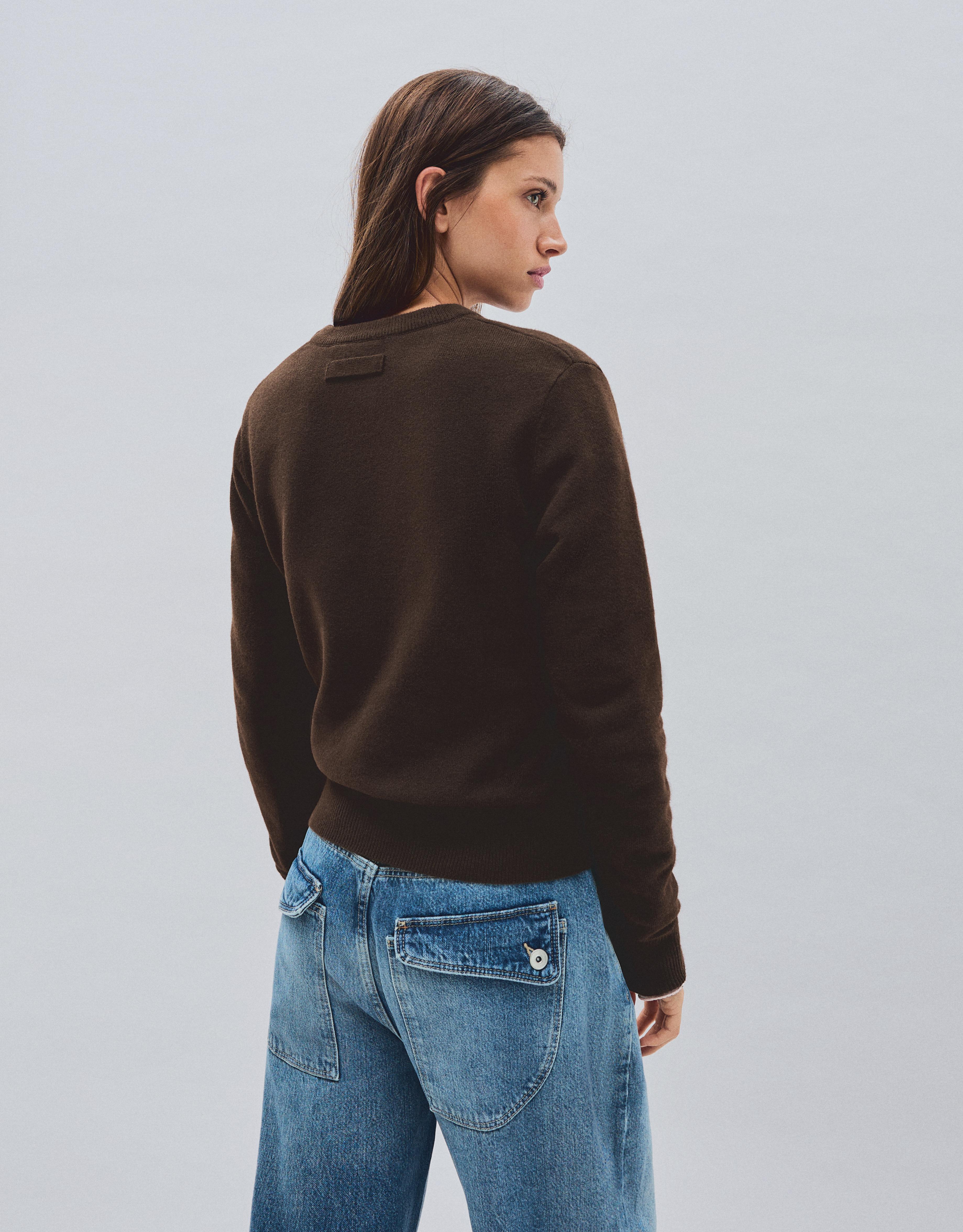 Round neck jumper — Brown