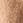 Zand