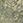 ED HARDY X BERSHKA print vest top — Khaki