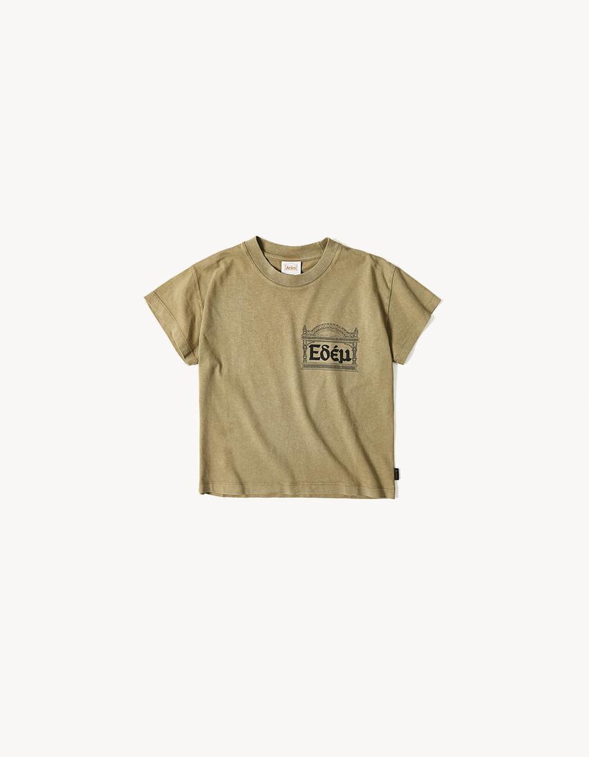 Regular fit T-shirt  ARIES x BERSHKA-Khaki