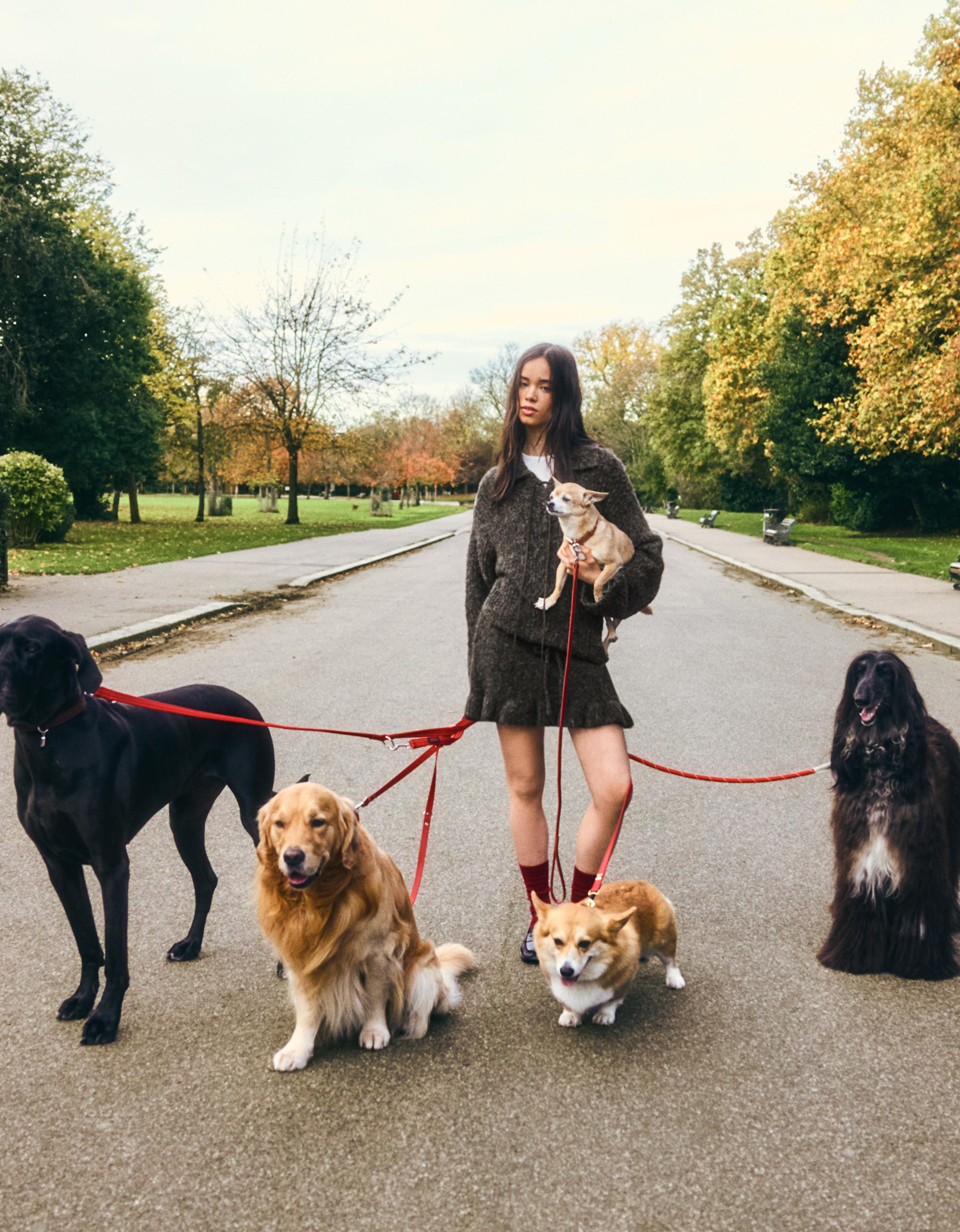 Bershka Minirock Mit Volant Und Schleife Damen M-L Braun