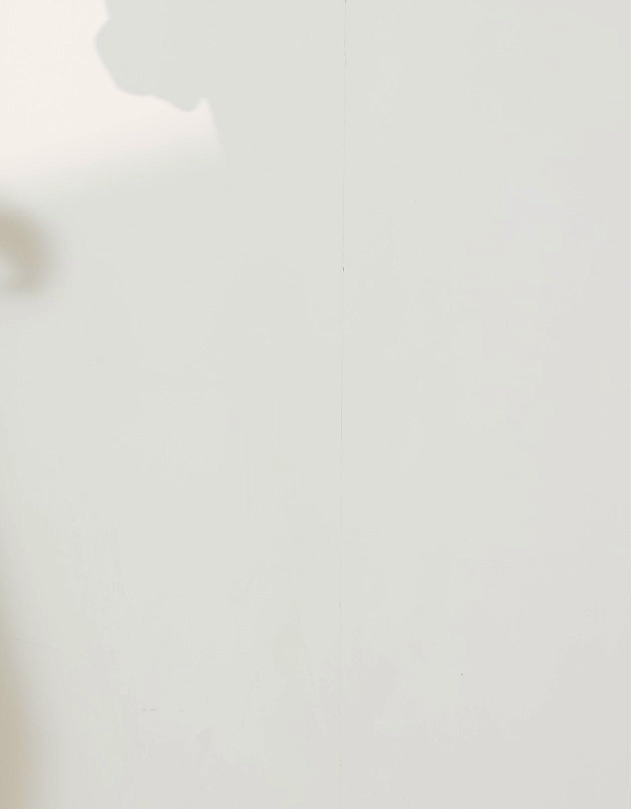 Kargo paraşüt jean - Görsel 5