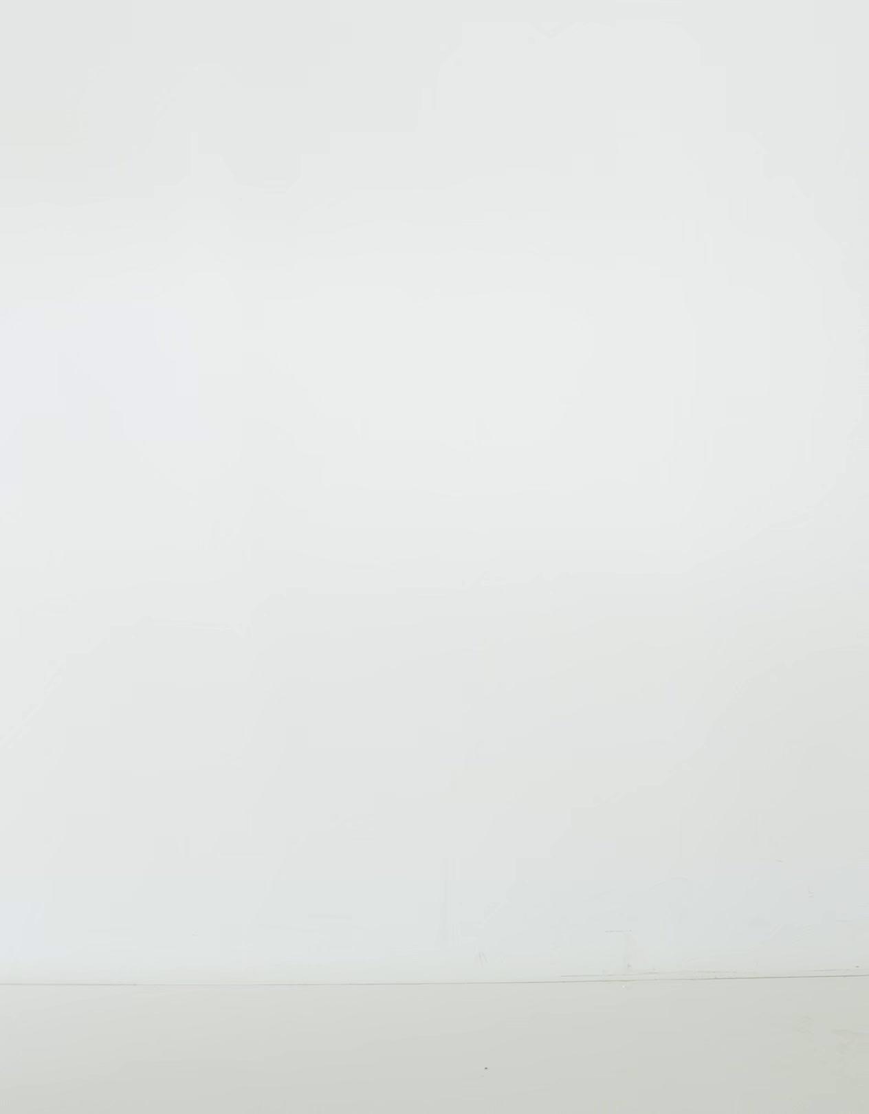 Kareli vücuda oturan halter yelek - Görsel 17