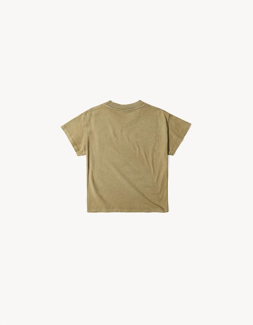 ARIES x BERSHKA regular fit t-shirt-Haki