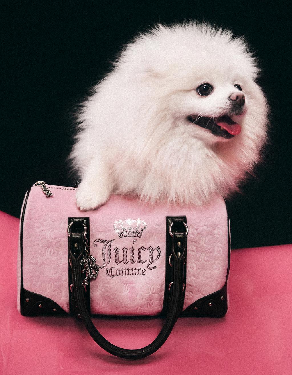 Textured bag JUICY COUTURE X BERSHKA